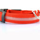 Safety Dog LED Collar