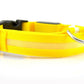 Safety Dog LED Collar