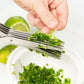 Multifunctional Multi-layer Green Onion Scissors